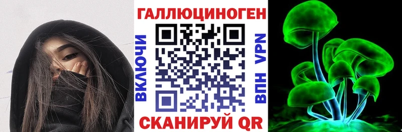 Псилоцибиновые грибы Psilocybine cubensis  купить наркотик  кракен ONION  Горбатов 